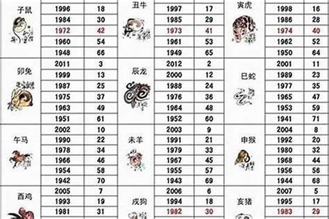 1962年属什么|1962年1月出生属什么生肖